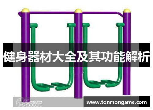 健身器材大全及其功能解析
