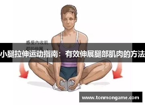 小腿拉伸运动指南：有效伸展腿部肌肉的方法