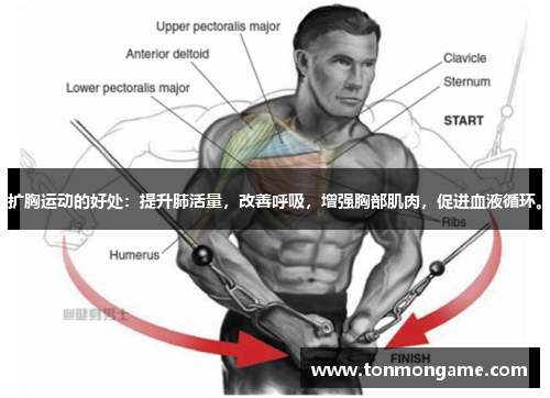 扩胸运动的好处：提升肺活量，改善呼吸，增强胸部肌肉，促进血液循环。