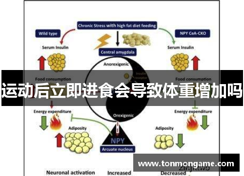 运动后立即进食会导致体重增加吗