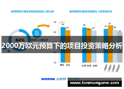 2000万欧元预算下的项目投资策略分析